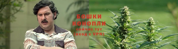 прущий лед Краснослободск