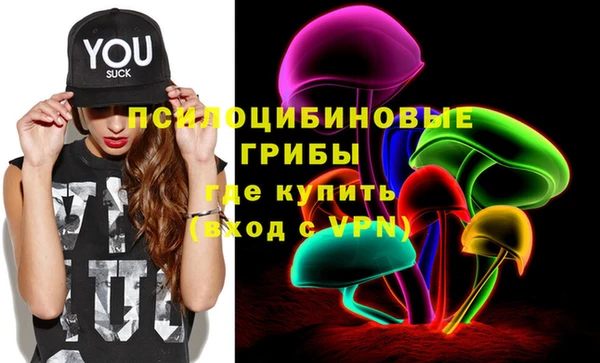 прущий лед Краснослободск