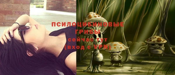ALPHA-PVP Козельск