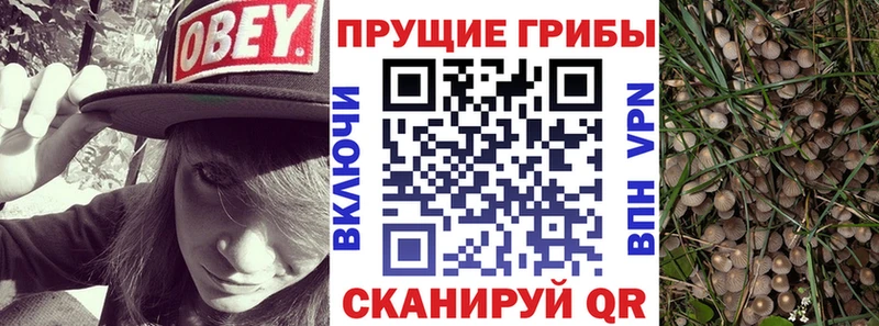 Псилоцибиновые грибы ЛСД  Мелеуз 